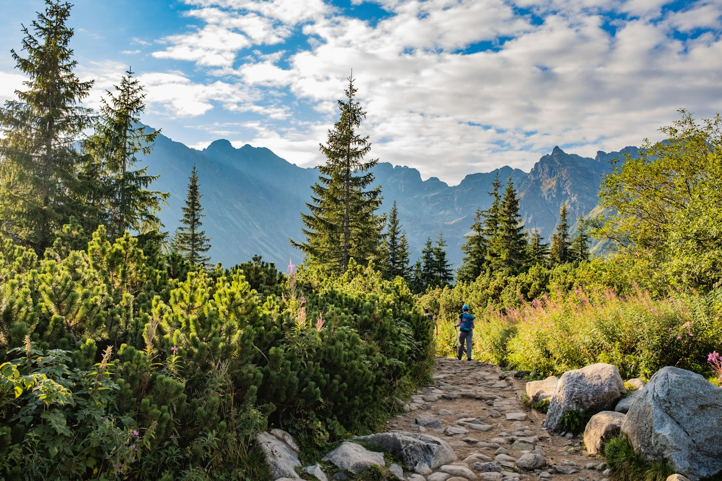 Fünf Tipps für das perfekte Familienwanderabenteuer